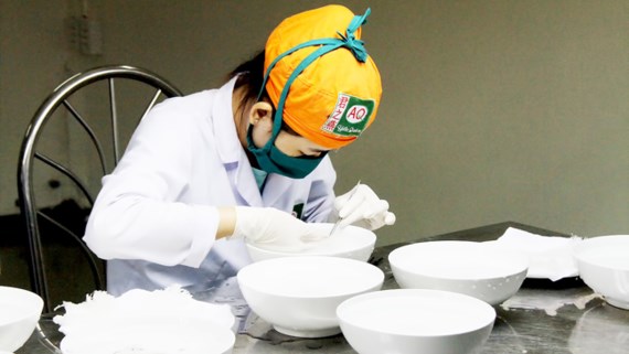 Công đoạn sau thu hoạch, làm sạch tổ yến tại Trung tâm Chế biến yến sào Việt Linh (huyện Cần Giờ) Ảnh: PHIÊU NHIÊN