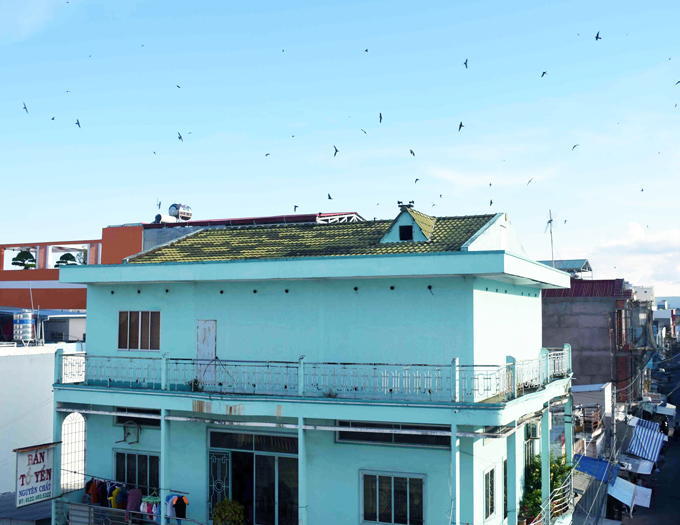 Một cơ sở nuôi yến tồn tại nhiều năm ở phường 5, TP.Cà Mau. (Ảnh: CTV)