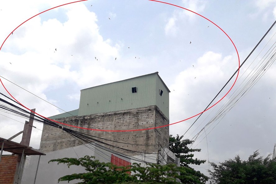 Một nhà nuôi chim yến ở phường An Hòa (TP.Rạch Giá) gây bức xúc cho hộ dân xung quanh. Ảnh: Trần Tuấn.