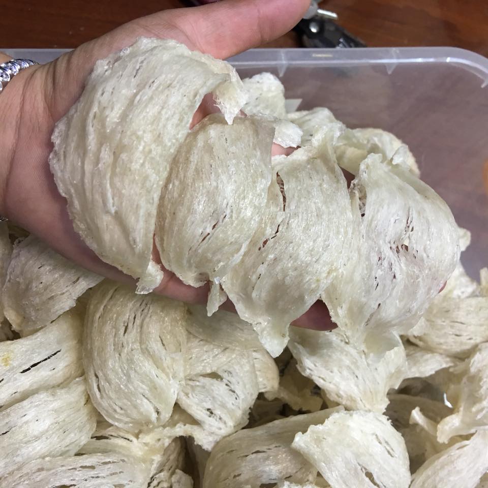 Yến rút lông nguyên tổ