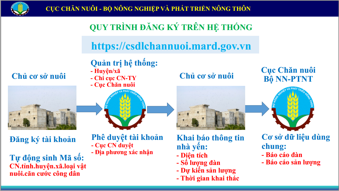 Quy trình đăng ký mã định danh nhà yến, cơ sở chế biến tổ yến