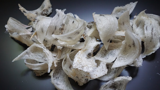 Giá tổ yến giảm